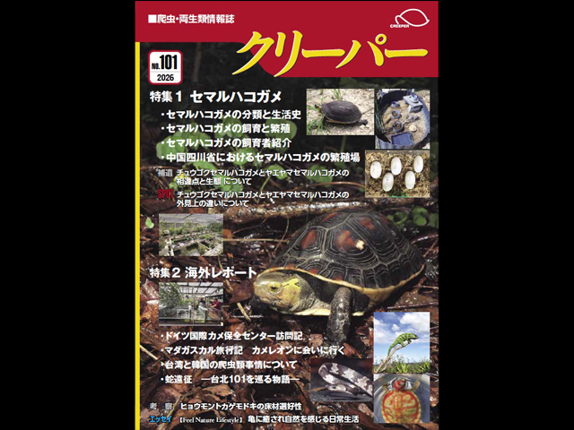 クリーパー101号