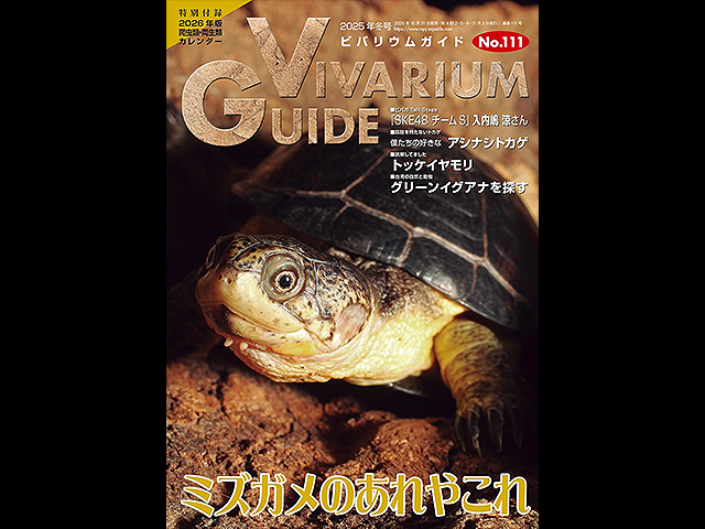 ビバリウムガイド No.111