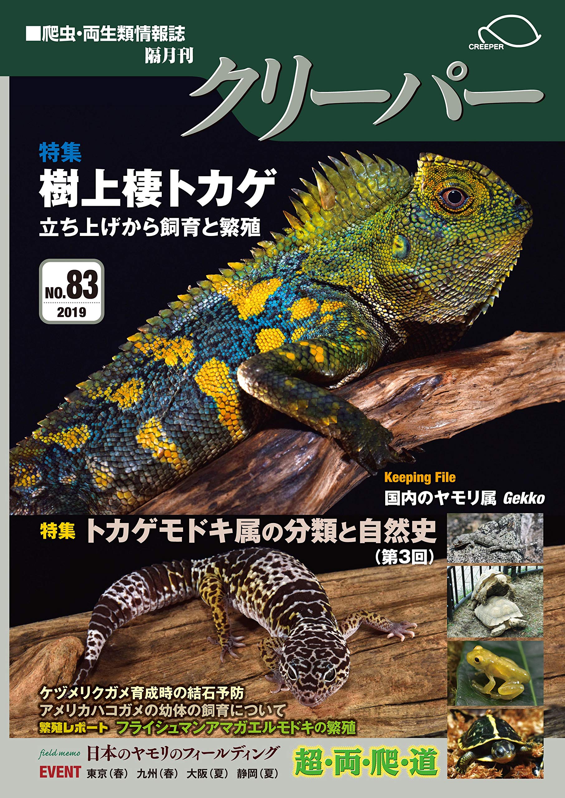 CREEPER（クリーパー） NO.83　樹上棲トカゲ　立ち上げから飼育と繁殖