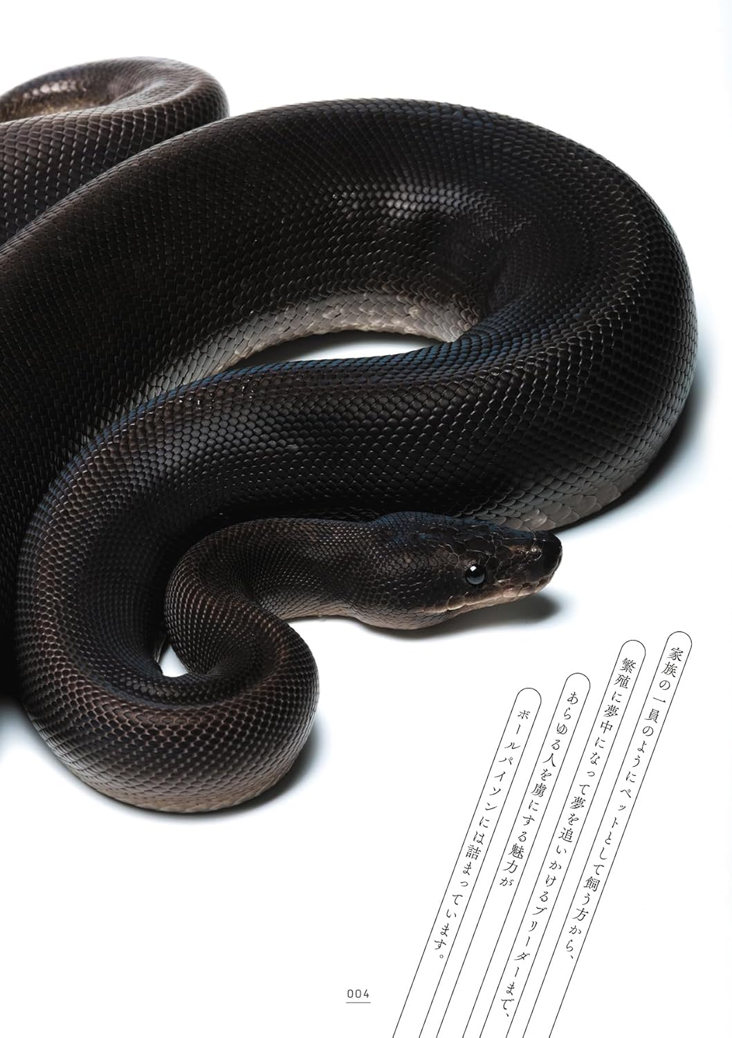 ボールパイソンの教科書2 魅力