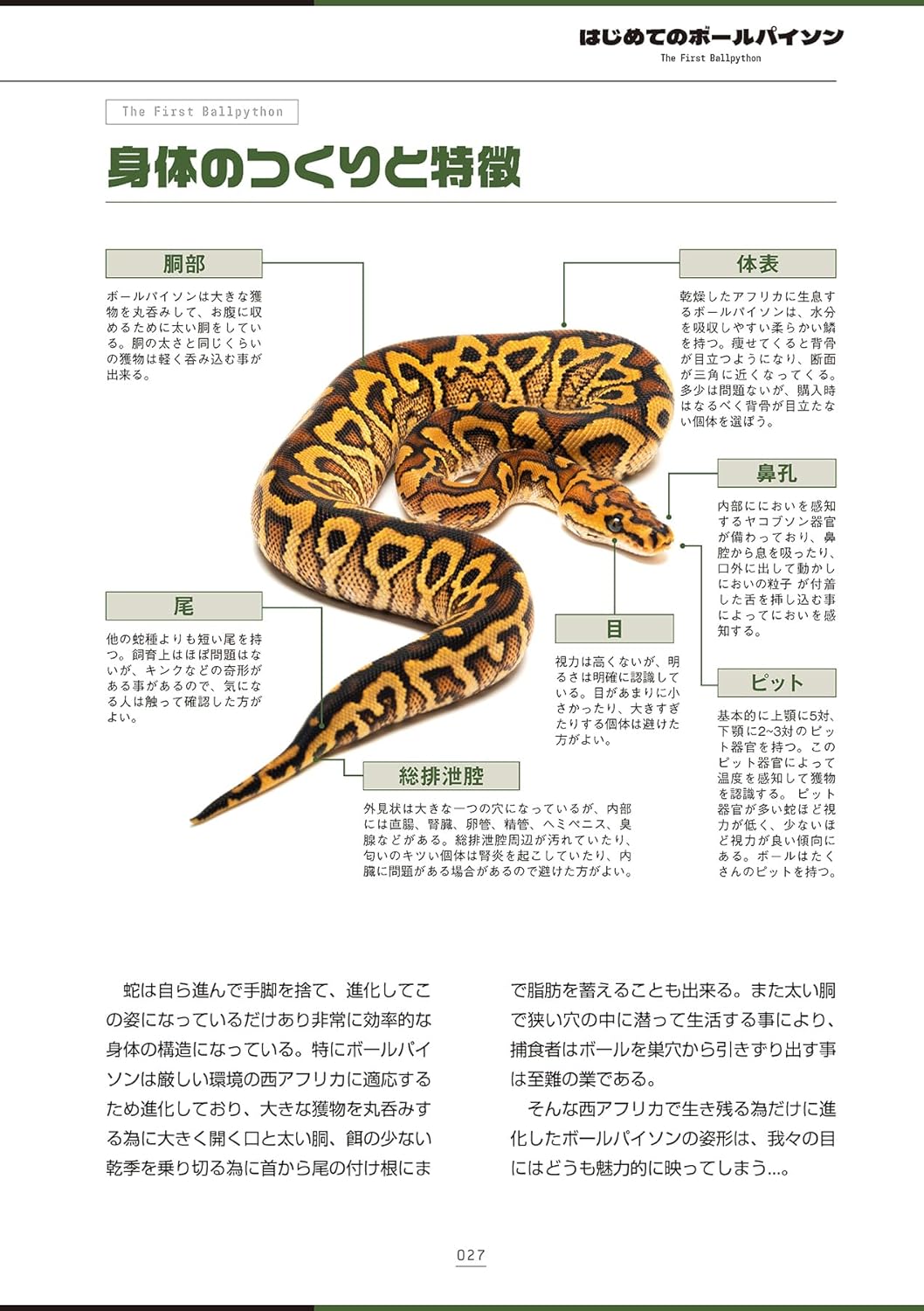 ボールパイソンの教科書2 身体のつくり