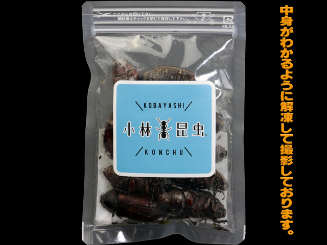 冷凍コガネムシ オス 40g 魚 爬虫類の餌用冷凍昆虫 販売 通販
