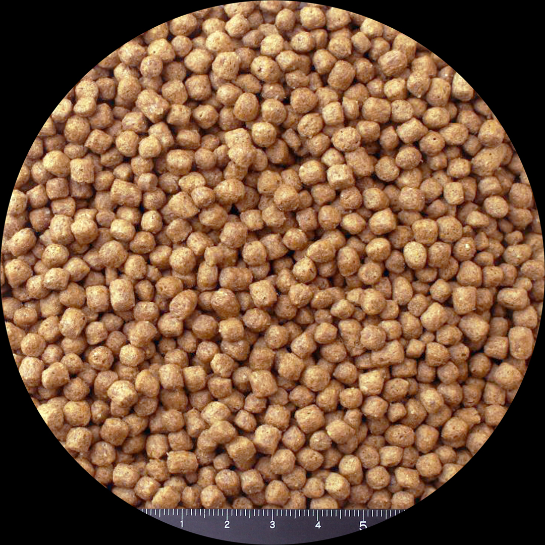 アクアティックタートルダイエット　粒の大きさ