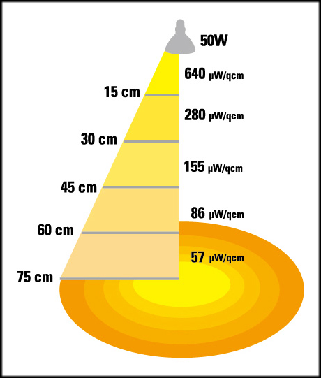 ソラリウムUV専用交換球50W　距離と出力の関係