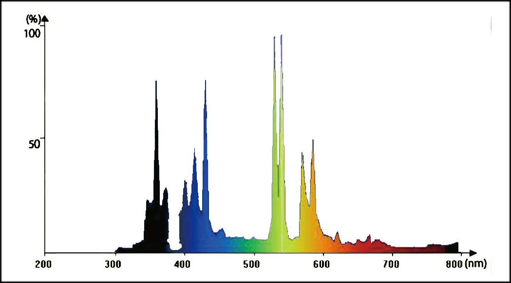 ソラリウム専用交換球50W　分光分布グラフ