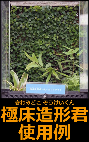 極床造形君 きわみどこぞうけいくん 2l ピクタ いちなま 販売 通販