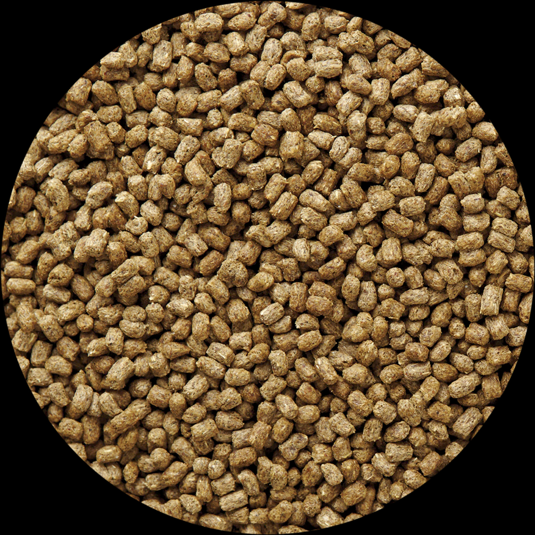 ハービヴォラスレプタイルダイエット5E5M　粒の大きさ