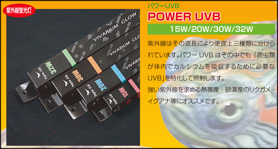 パワーUVB　ポゴナクラブ　Pogona Club