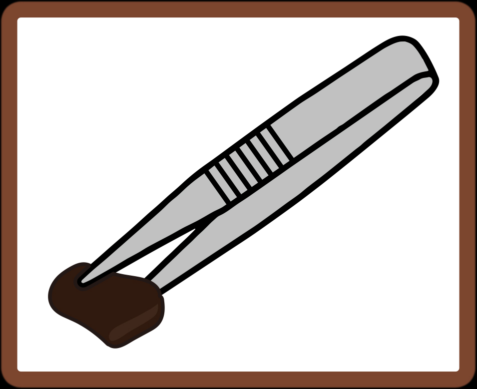 ニチドウ コオロギペースト　ピンセットで与える