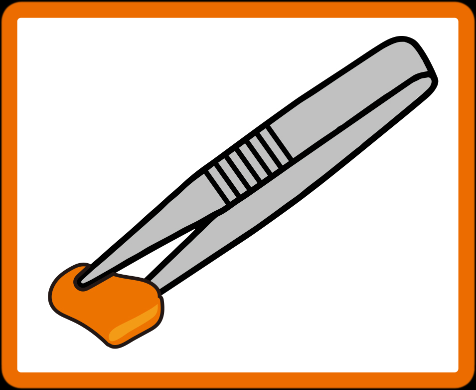 ニチドウ ニンジンペースト　ピンセットで与える