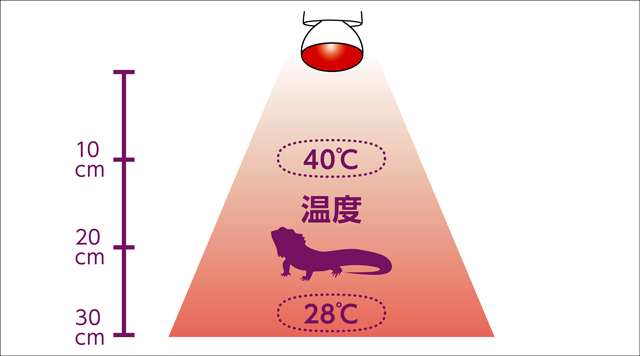 メテオバスク赤外線50W　ランプからの距離と温度・照度の目安