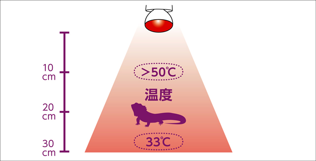 メテオバスク赤外線75W　ランプからの距離と温度・照度の目安