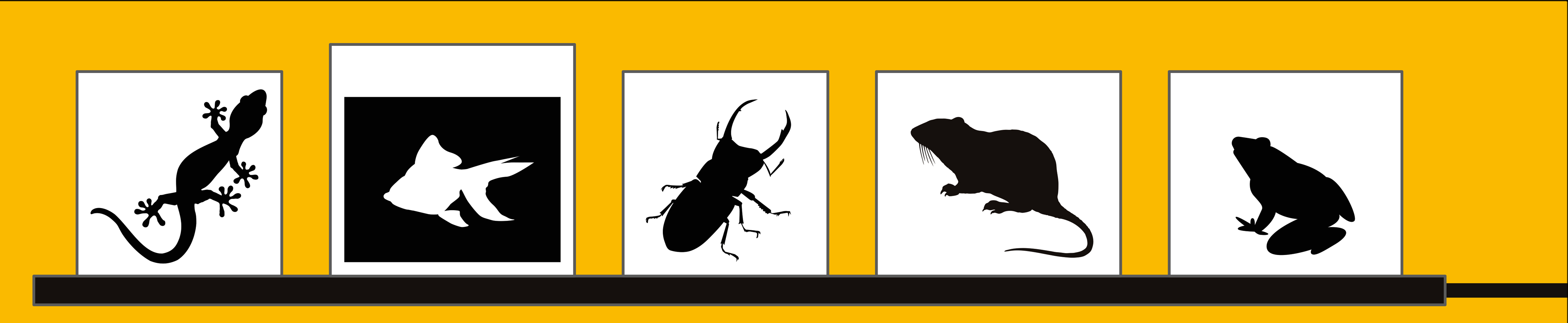 ナラベルトS　リボンヒーター上に飼育容器を載せた例