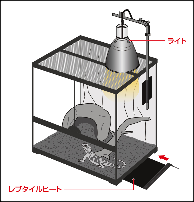 レプタイルヒート　使用例