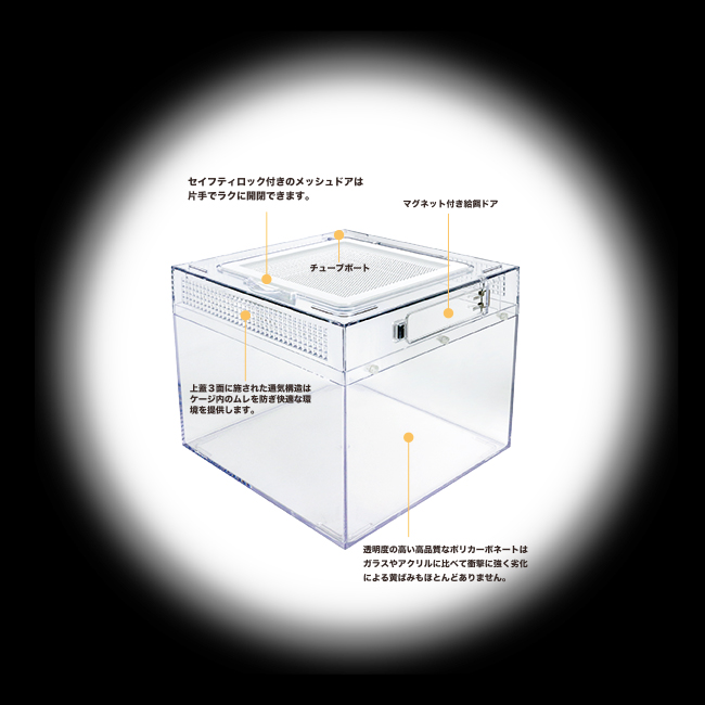 レプタイルポリカケース2020白フタP01　詳細