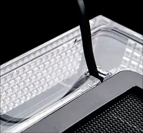 レプタイルポリカケース2020白フタP01　コード穴