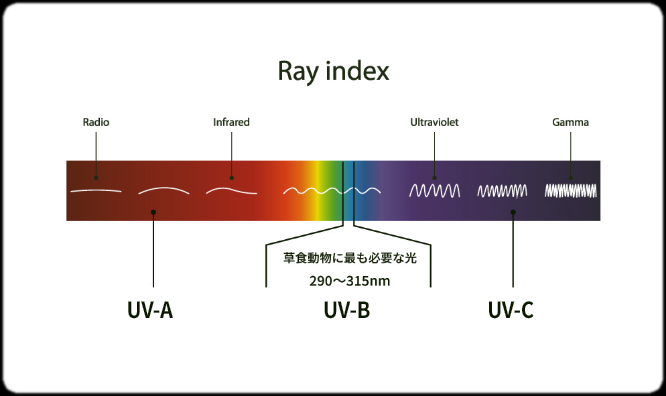 爬虫類用LEDランプMH-10S　草食爬虫類に最も必要な光　290～315nm