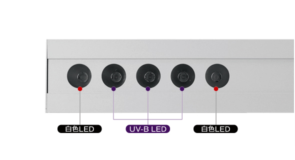 爬虫類用UV-B LEDライト MH-10S　LED球は点減動作に対応