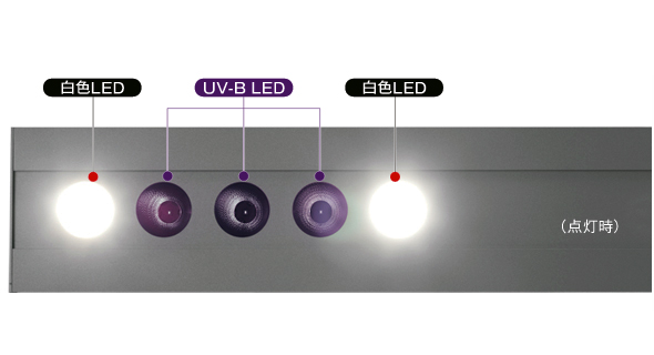 爬虫類用UV-B LEDライト MH-10S　簡単なUV-Bの点灯確認