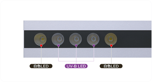 爬虫類用UV-B LEDライト MH-N10S LED球は点減動作に対応