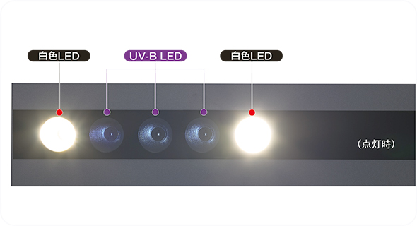 爬虫類用UV-B LEDライト MH-N10S 簡単なUV-Bの点灯確認