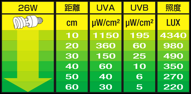 レプタイルUVB150 26Wの距離とUVB・UVA・照度の目安