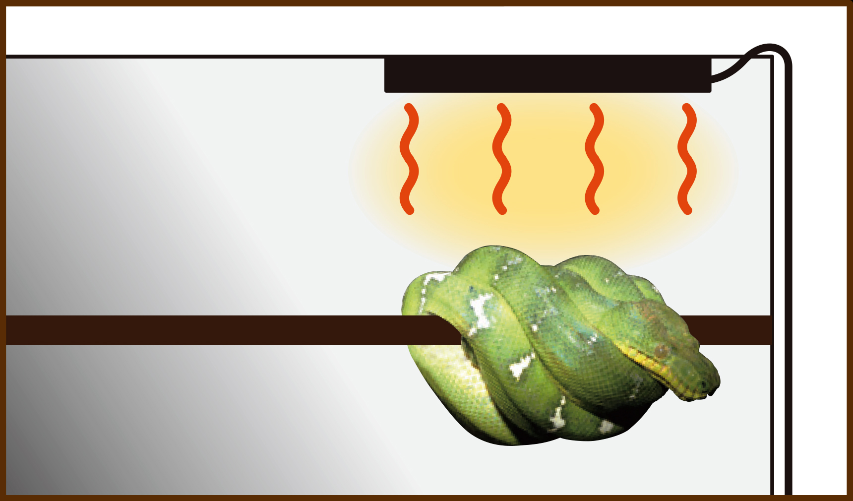 暖突　ヘビの使用例1