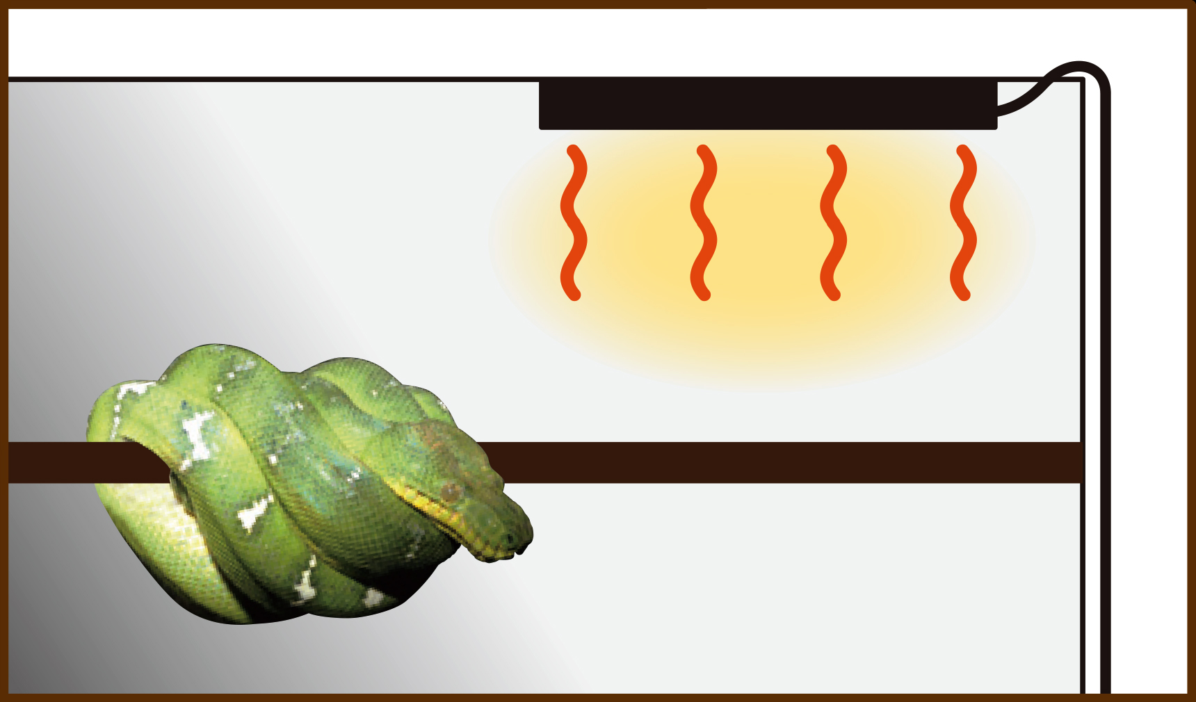 暖突　ヘビの使用例2