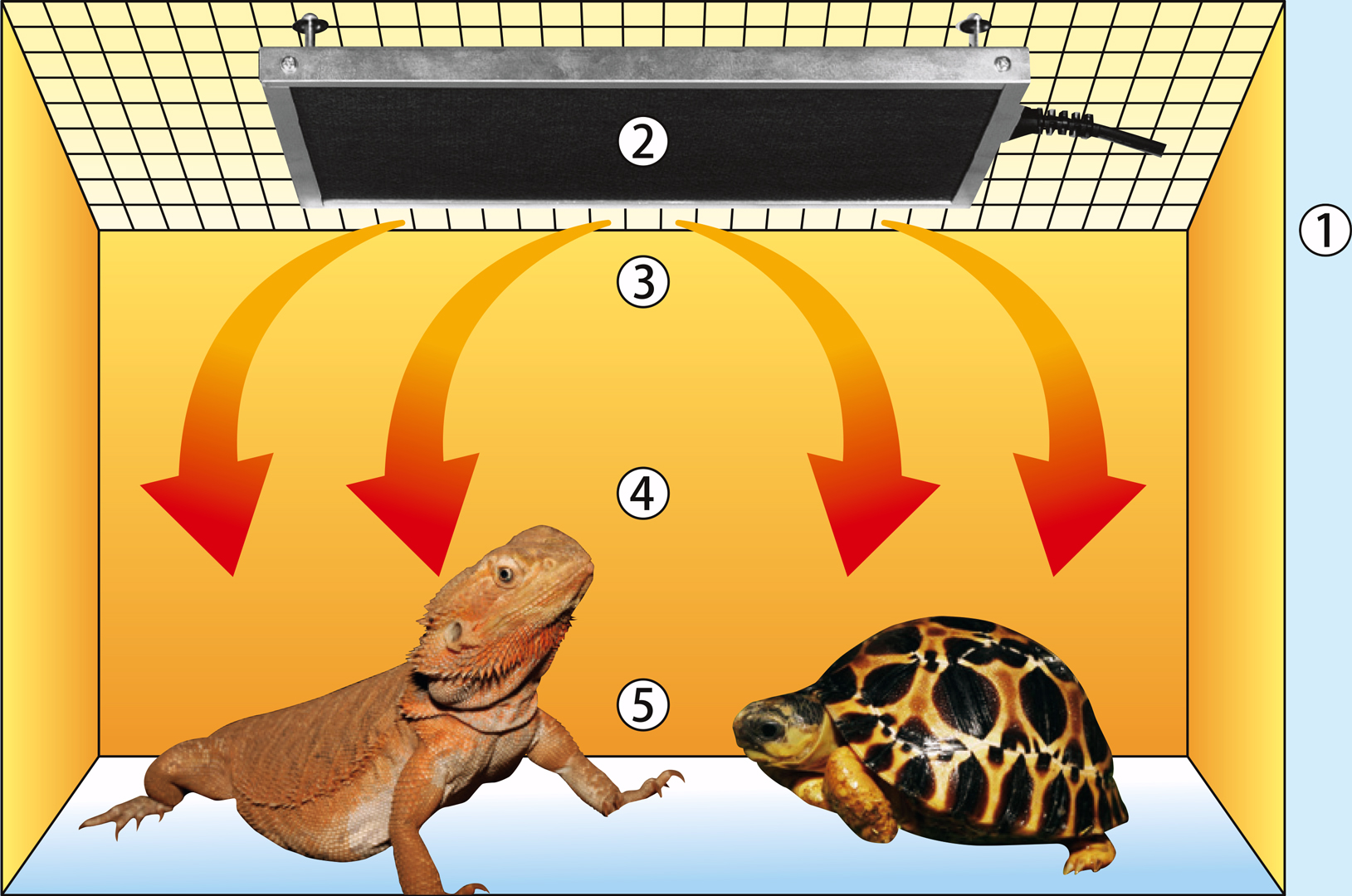 暖突　各測定点の温度及び温度上昇値(℃)