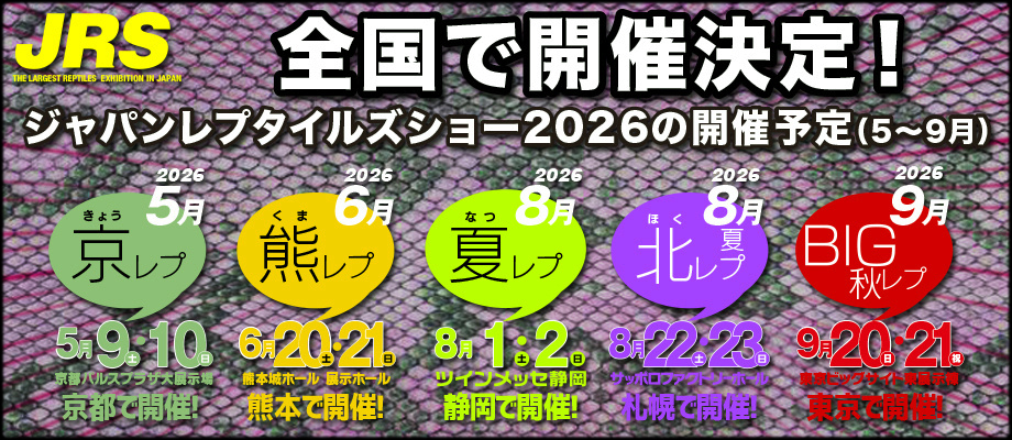 爬虫類ペットショップ WildMonster 爬虫類飼育用品の通信販売サイト