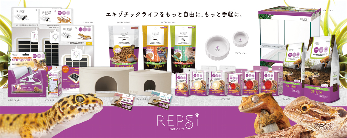 爬虫類飼育用品10点セット 爬虫類 | suitmenstore.com