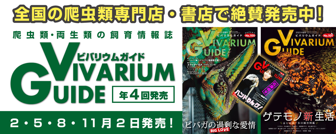 爬虫類ペットショップ  爬虫類飼育用品の通信販売サイト