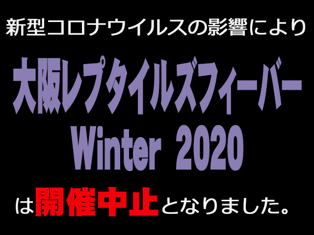 レプタイルズフィーバーwinter 大阪 爬虫類イベントカレンダー レプタイルズフィーバーwinter 大阪 爬虫類イベントカレンダー