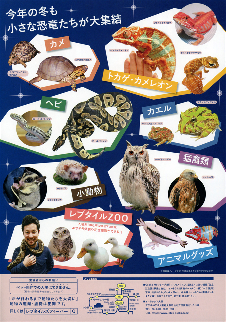 レプタイルズフィーバーwinter 爬虫類イベント
