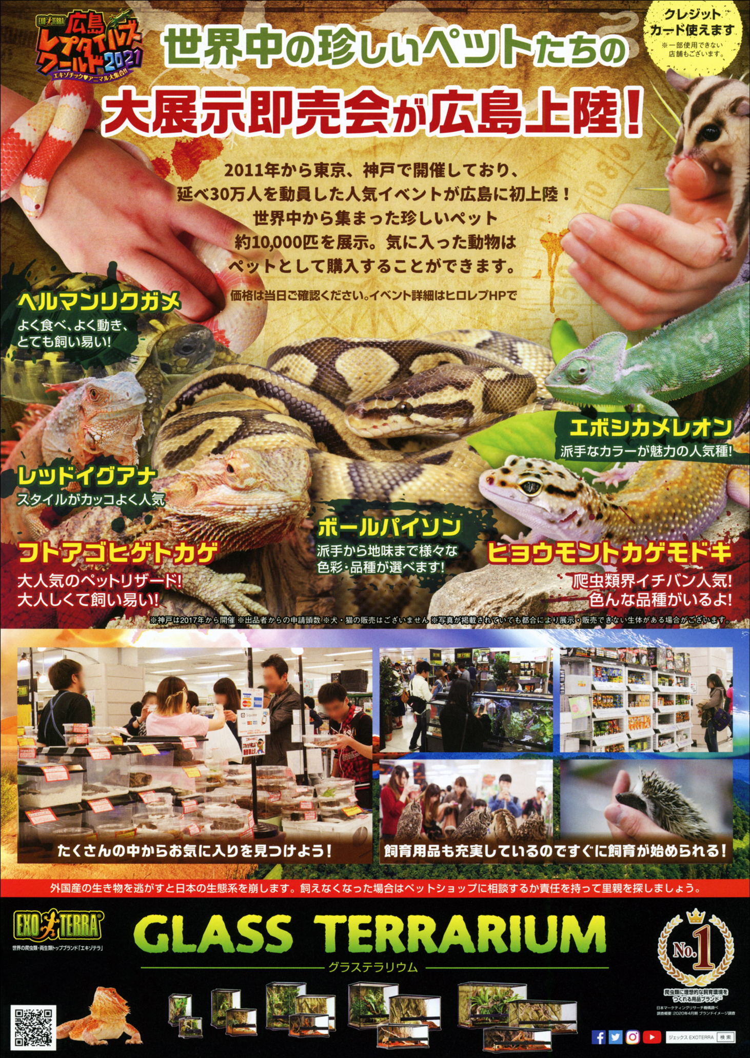 レプタイルズフィーバーwinter 大阪 爬虫類イベントカレンダー レプタイルズフィーバーwinter 大阪 爬虫類イベントカレンダー