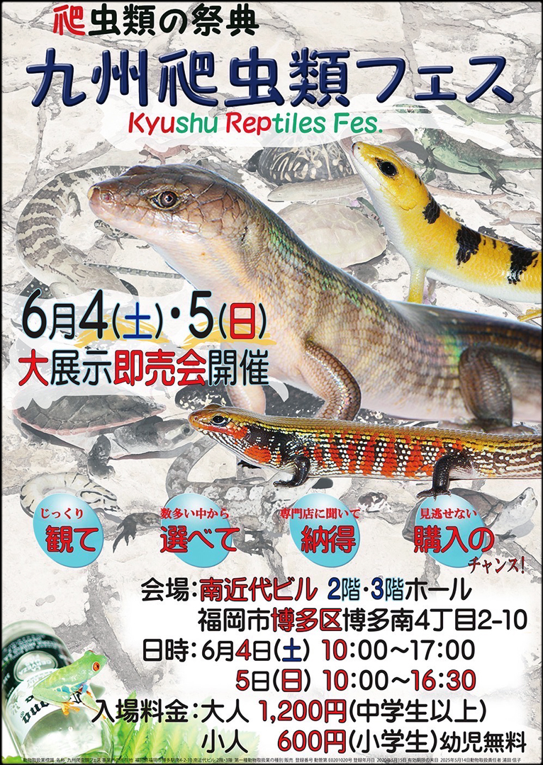 九州爬虫類フェス2022 九レプ