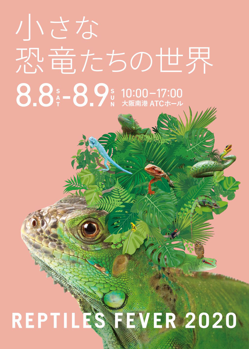 爬虫類 イベント 大阪 レプタイルズフィーバーwinter21 小さな恐竜たちの世界 爬虫類 イベント 大阪 レプタイルズフィーバーwinter21 小さな恐竜たちの世界
