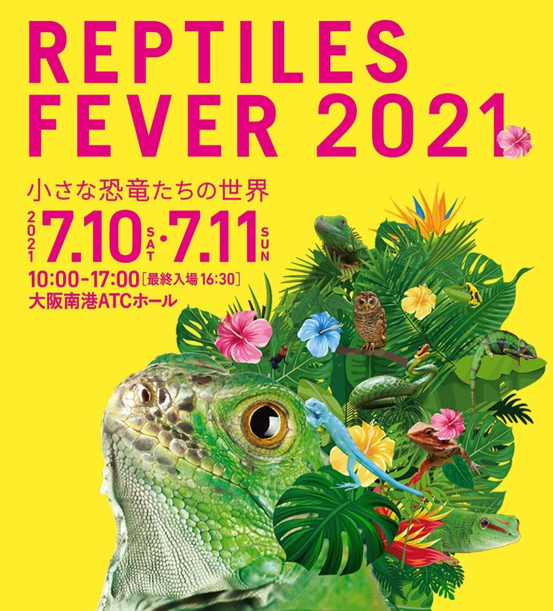 九州爬虫類フェス 九レプ 爬虫類イベントカレンダー 九州爬虫類フェス 九レプ 爬虫類イベントカレンダー