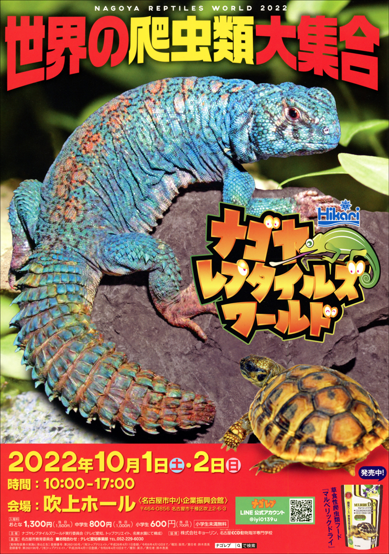 ヘビ - 爬虫類ショップ Wild Monster
