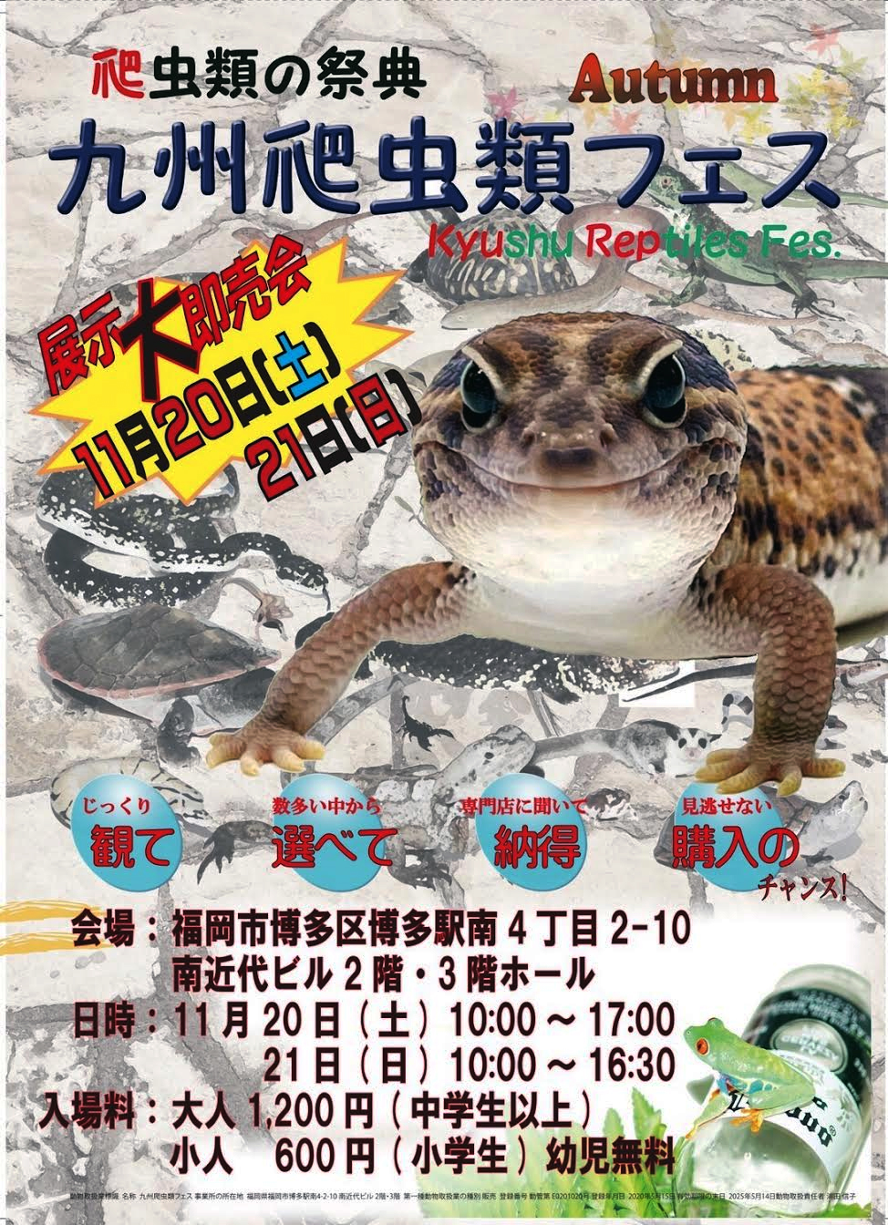 Black Out 大阪 爬虫類イベント