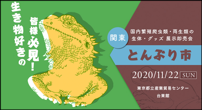 とんぶり市 東京爬虫類イベント 爬虫類イベントカレンダー