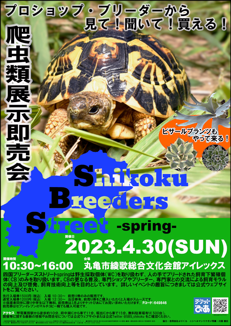 四国ブリーダーズストリートスプリング2023 (SBS spring 2023)