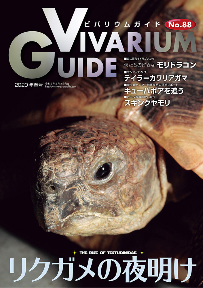 ビバリウムガイドNo.88 2020年03月号　リクガメの夜明け