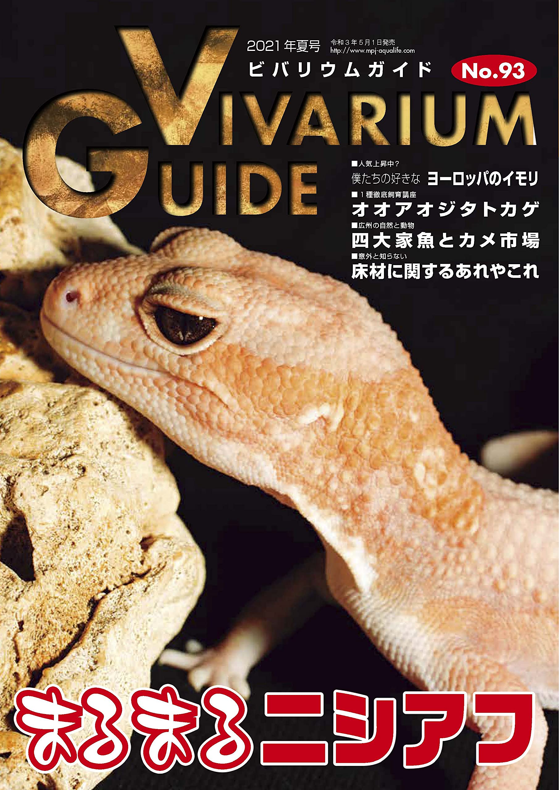 ビバリウムガイドNo.93 2021年05月号　まるまるニシアフ