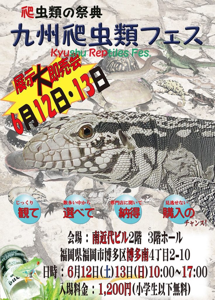 爬虫類イベントカレンダー 爬虫類ショップ Wild Monster 爬虫類イベントカレンダー 爬虫類ショップ Wild Monster