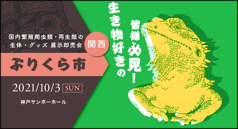 ぶりくら市 神戸爬虫類イベント 爬虫類イベントカレンダー
