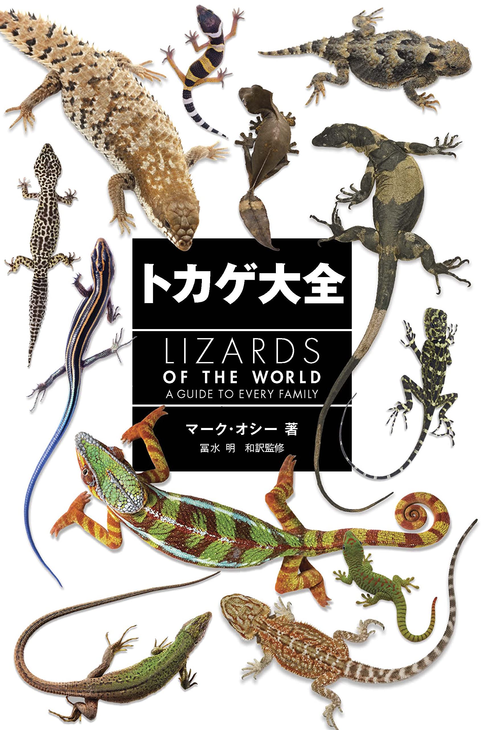 トカゲ大全 LIZARDS OF THE WORLD