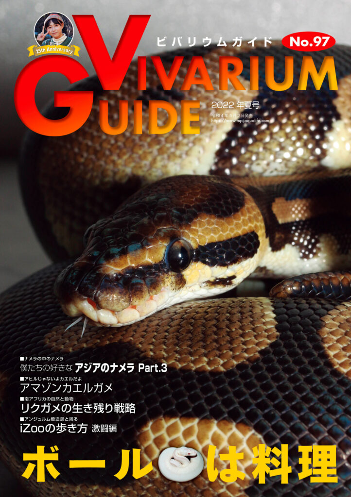 ビバリウムガイドNo.97 2022年夏号　ボールは料理