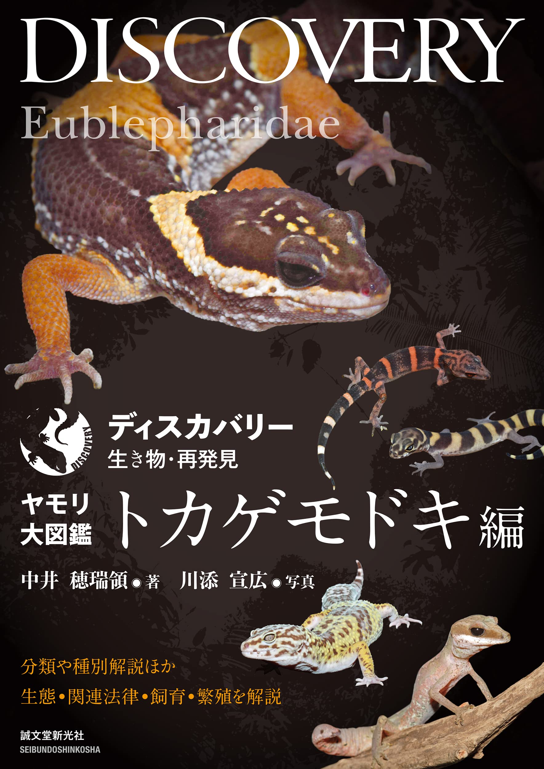 ディスカバリー生き物・再発見 ヤモリ大図鑑 トカゲモドキ編　誠文堂新光社