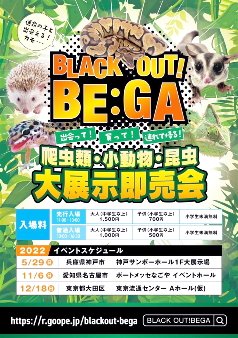 ブラックアウト！ ベガ2022　BLACK OUT! BE:GA 2022